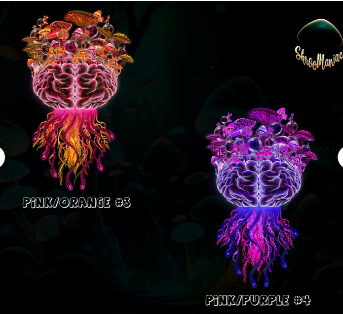 Trippy Mushroom Brain Sticker – Shroomaniac Brand – multiple sizes, High Qualtiy