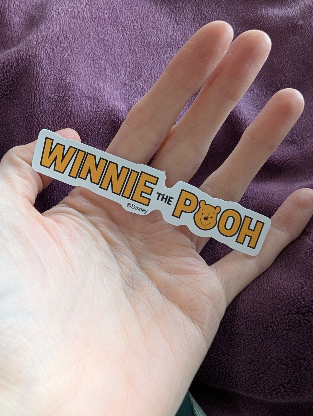 Winnie the Pooh Sticker | Whimsical Cartoon Vinyl, Text