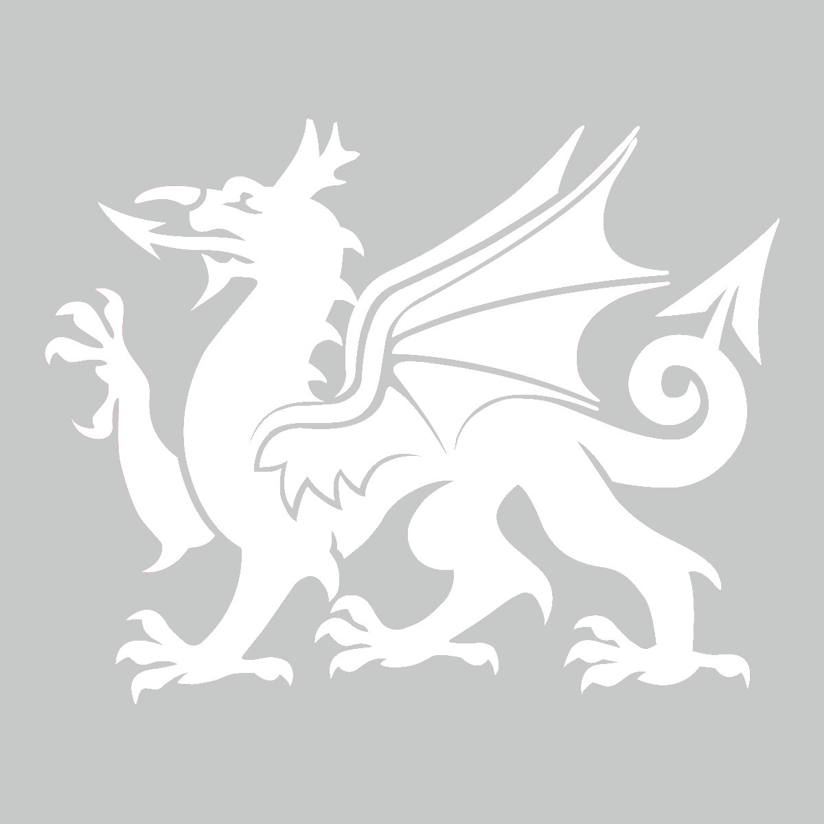 Welsh Dragon Vinyl Decal Sticker Car Camper Van Wall Art Cymru Ddraig Goch