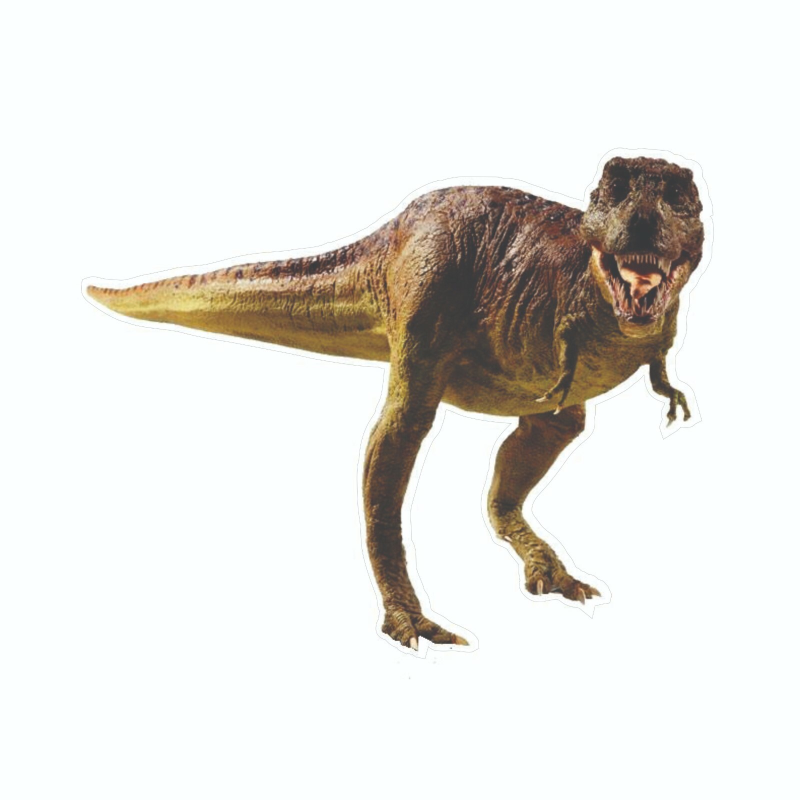 Dinosaur Sticker, Tyrannosaurus Decal, Bumper T-Rex Sticker
