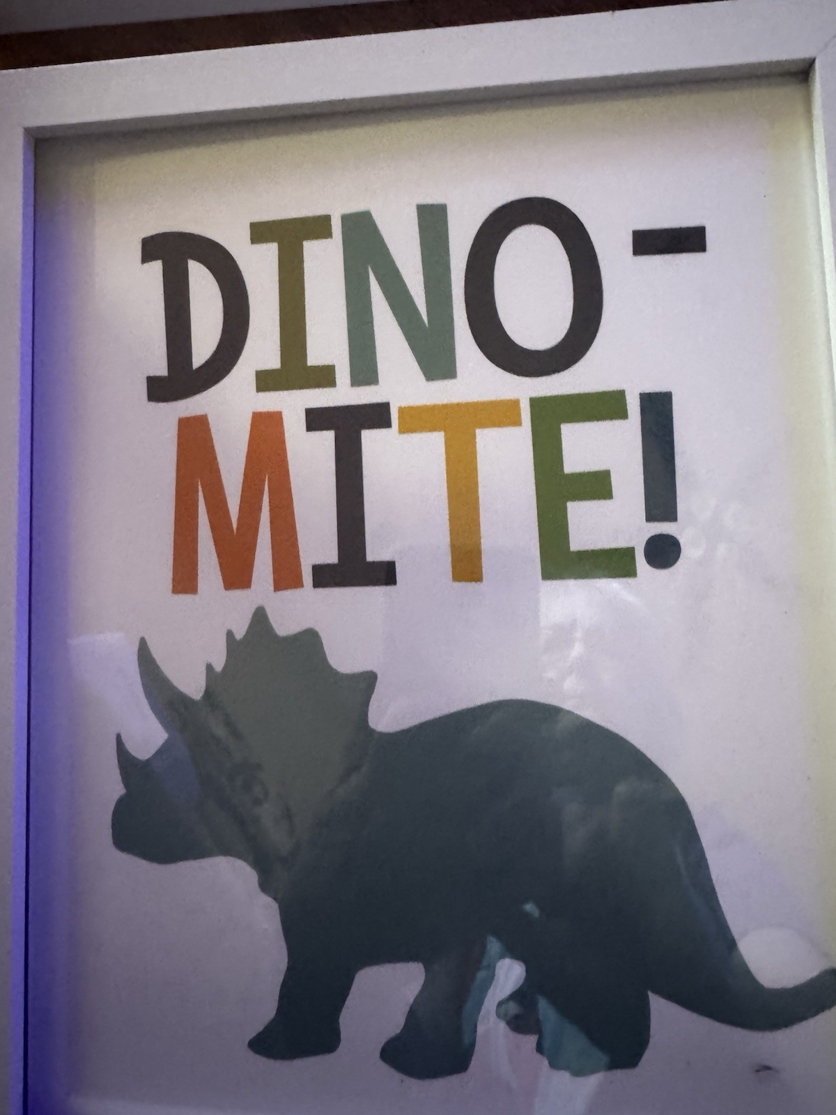 Set Of 6 9” X 11”Inch Framed Nursery Wall Art Decor Dinosaur Toddler Pictures