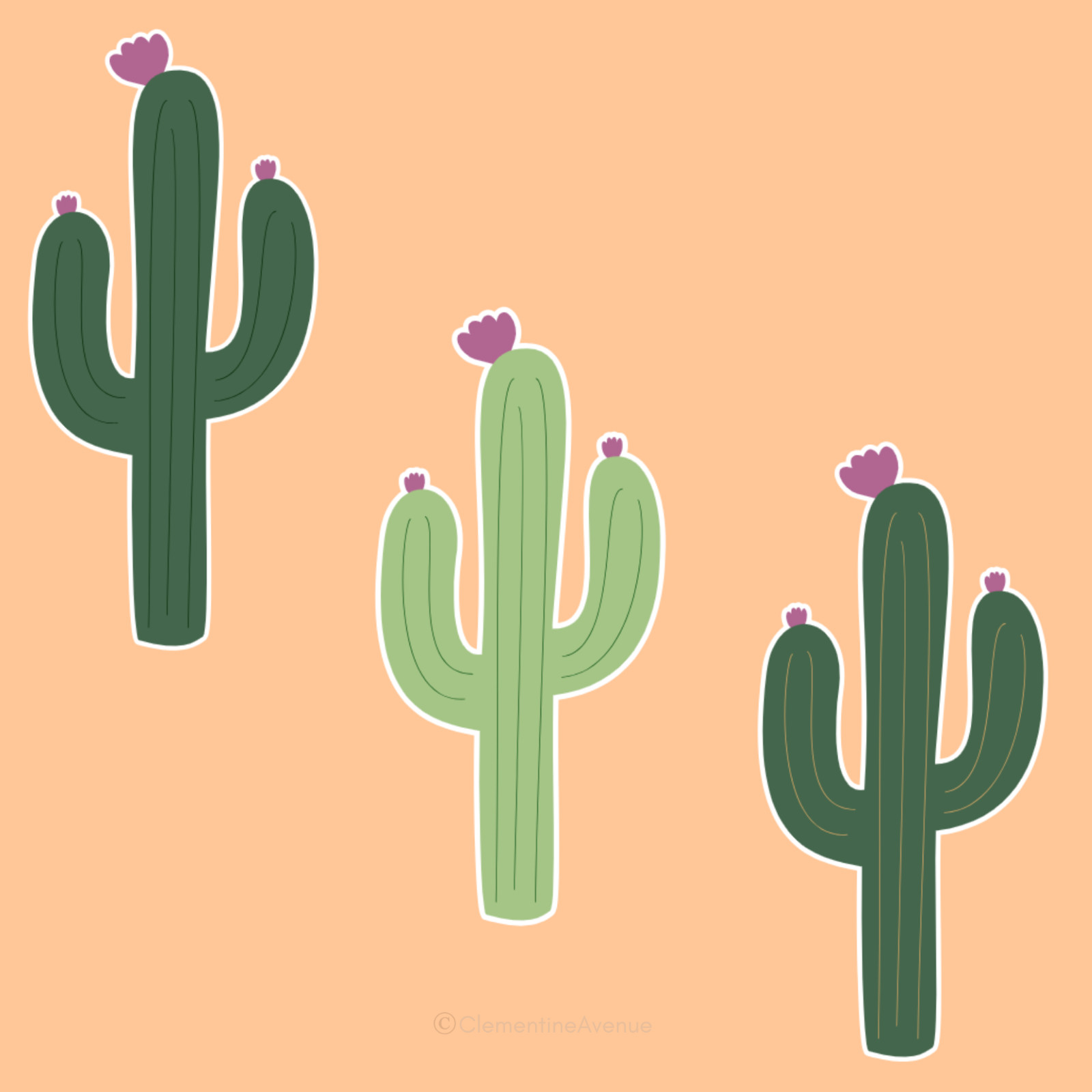 Cactus Sticker Succulent Desert Western Planner Scrapbook Water Bottle Phone