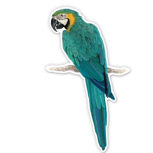 Blue and Yellow Macaw Car Laptop Phone Vinyl Sticker – SELECT SIZE