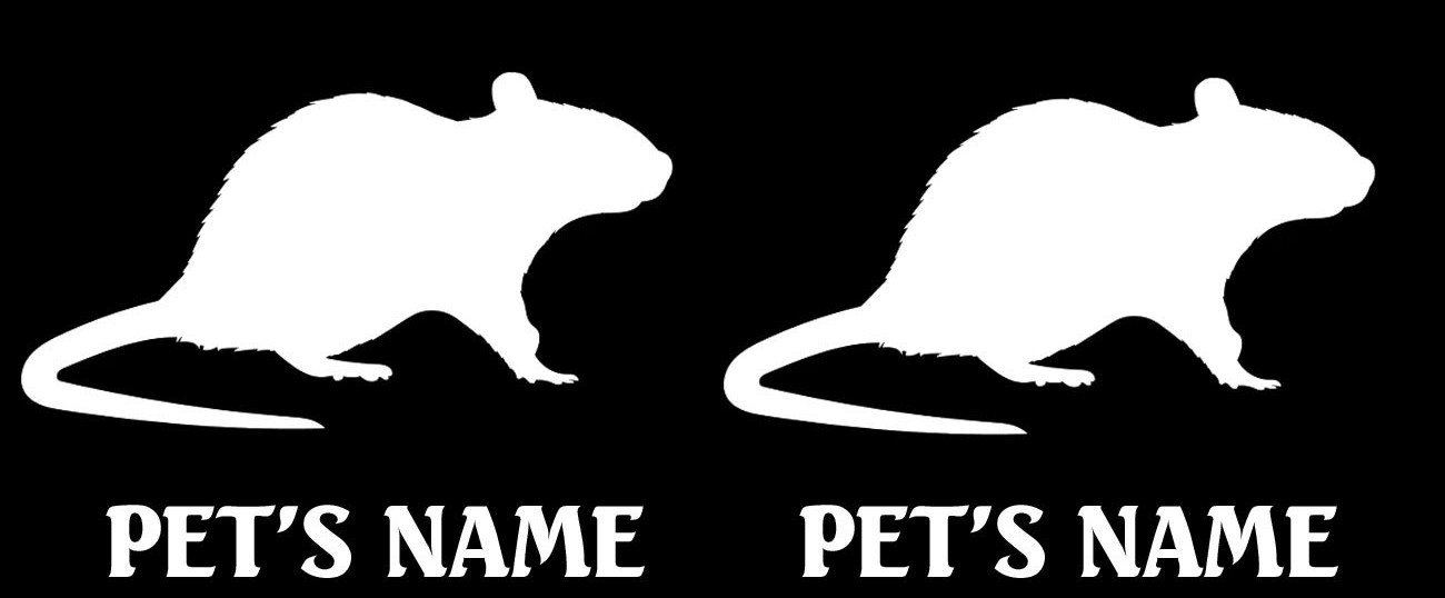 Pet Rat or Mouse with Custom Name 2 Pack of 5" Vinyl Decals Window Laptop Glass