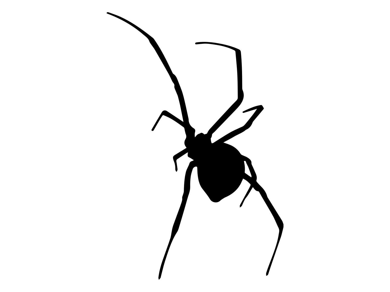 Spider Black Widow Silhouette Vinyl Decal Car Water Bottle Tumbler Sticker
