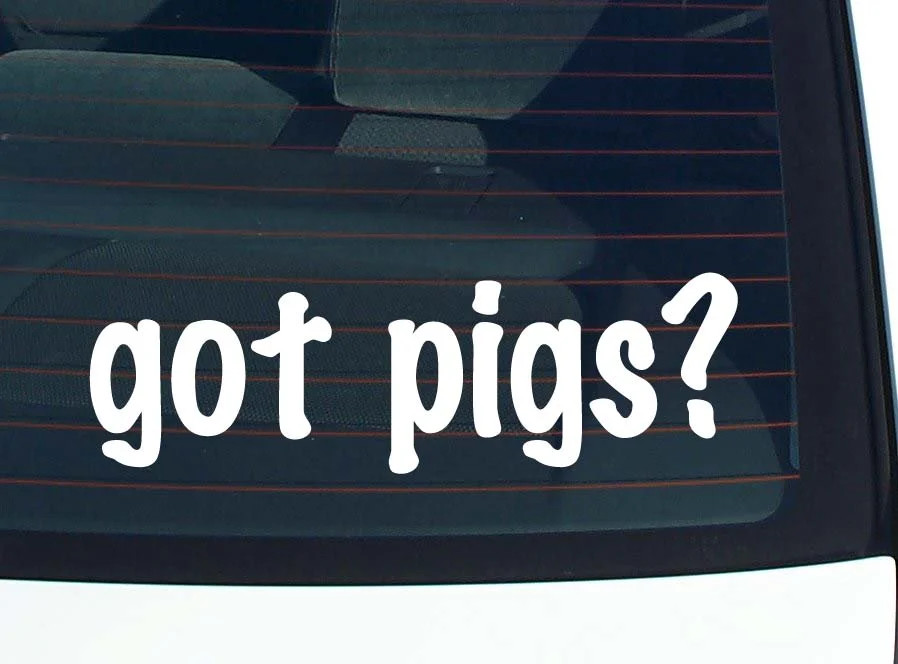 got pigs? CAR DECAL BUMPER STICKER VINYL FUNNY JOKE WINDOW