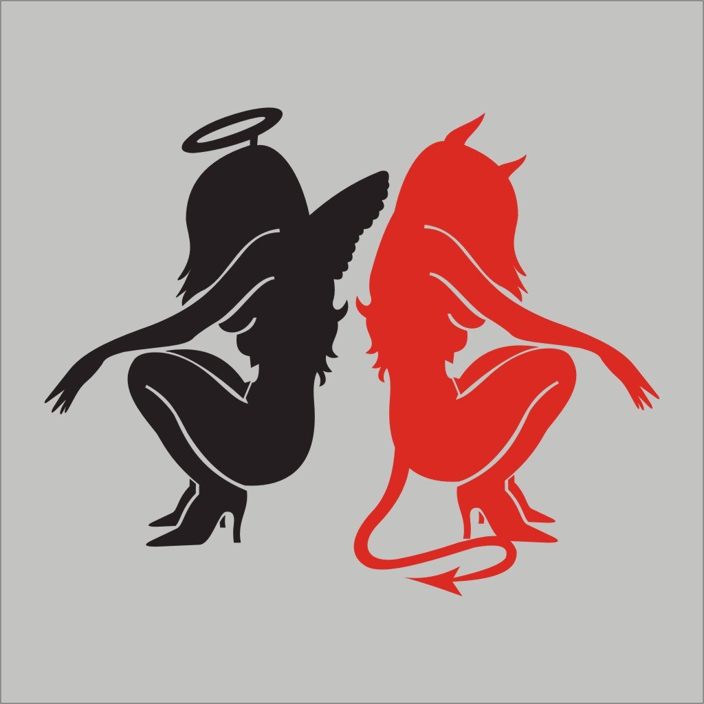 Angel Demon Girls Wall Car Window Vinyl Decal Sticker Misc Graphic