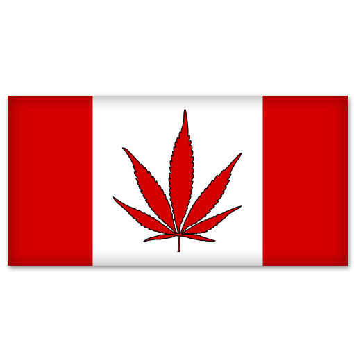 Canada Weed Cannabis Pot Flag car bumper sticker 6" x 3"