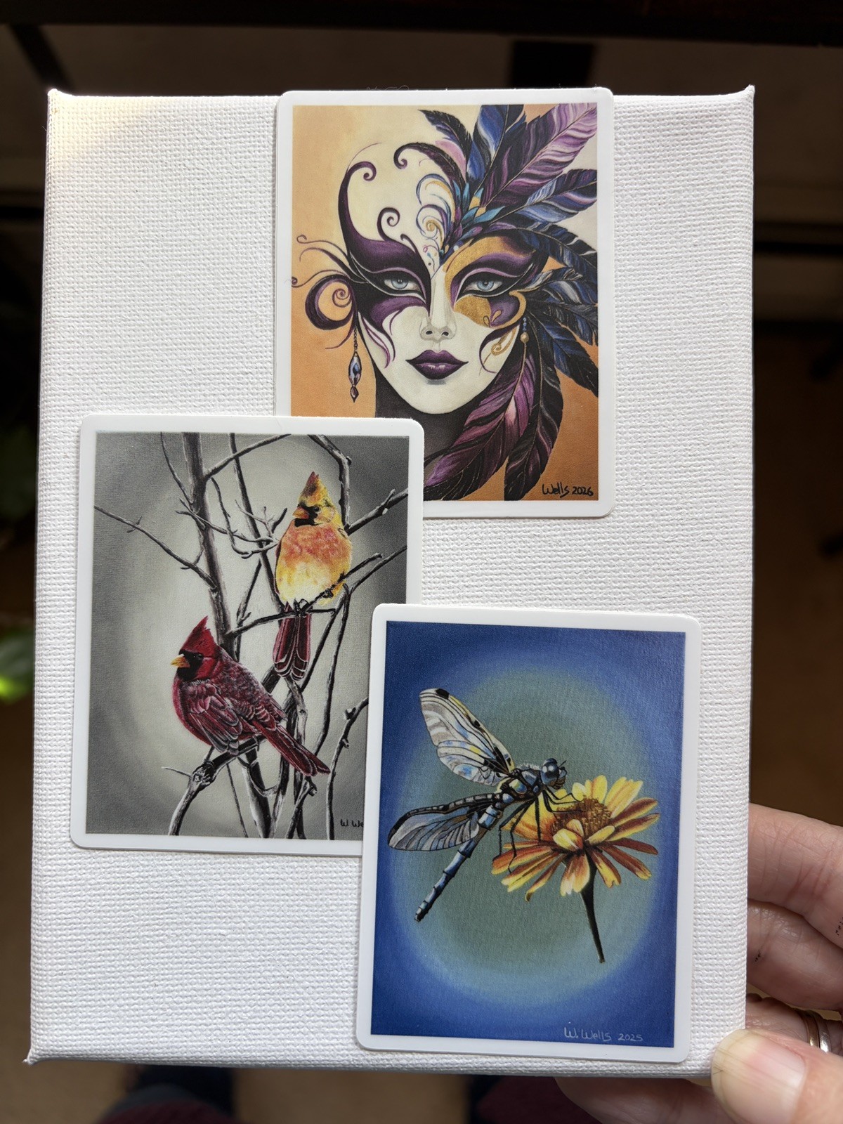 Sticker, set of 3, birds, mask, dragonfly
