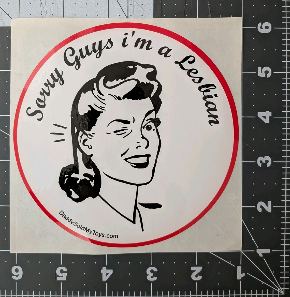 Sorry Guys I'm A Lesbian Large 5" Sticker Lot Of (10)