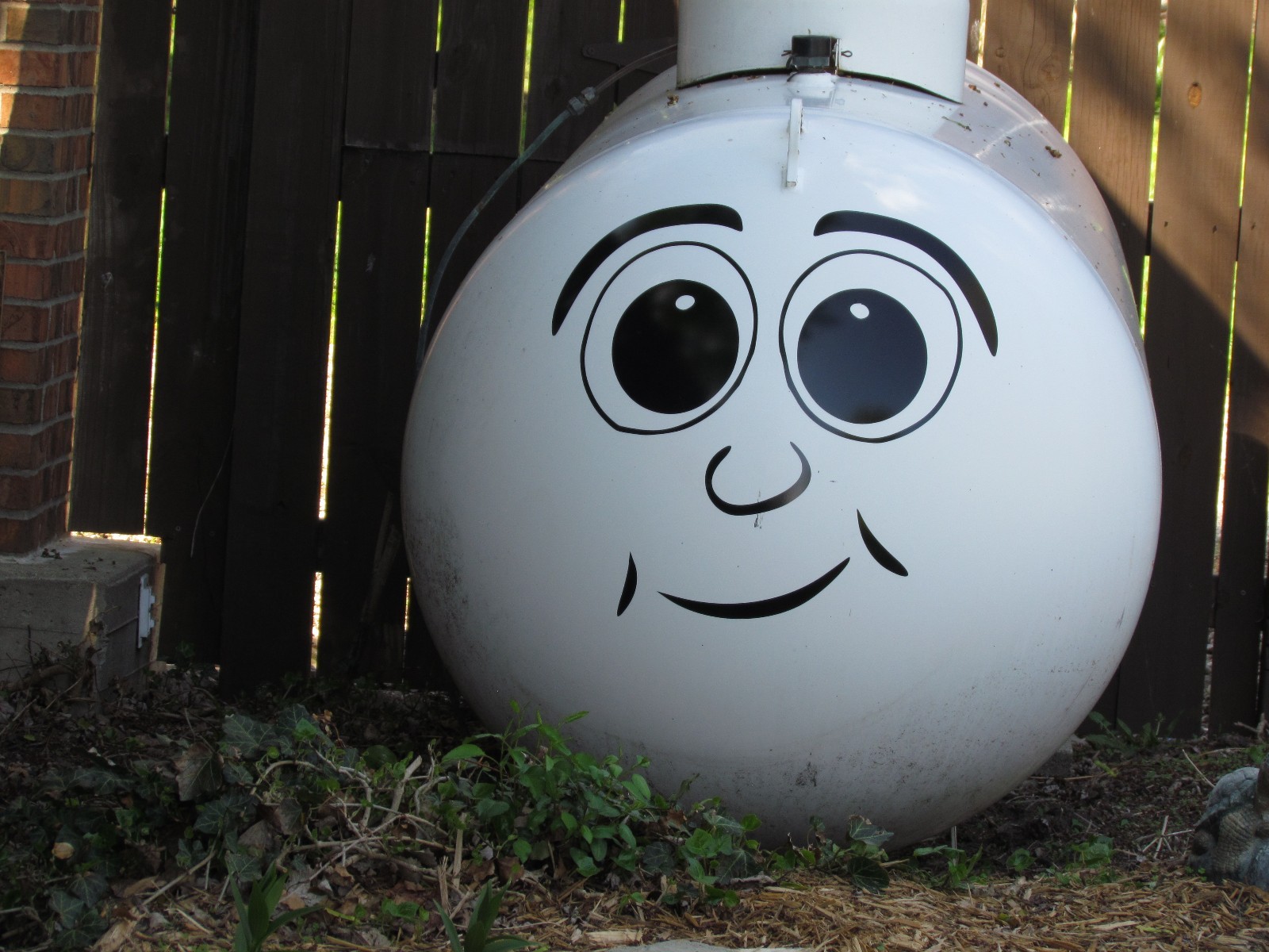 Propane Tank Funny Face – Quality Vinyl Decal Sticker – Select Color
