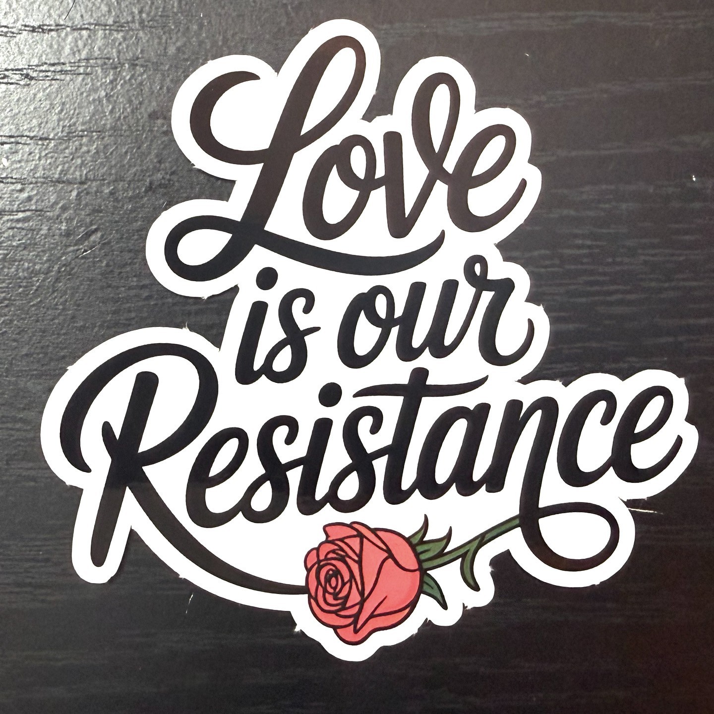 Love Is Our Resistance Vinyl Sticker – 4×4 sticker Car Laptop Water Bottle