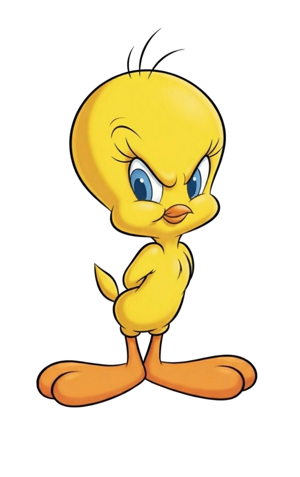 Tweety Bird Sweet Innocent Expression Vinyl Sticker Looney Tunes Cartoon Decal