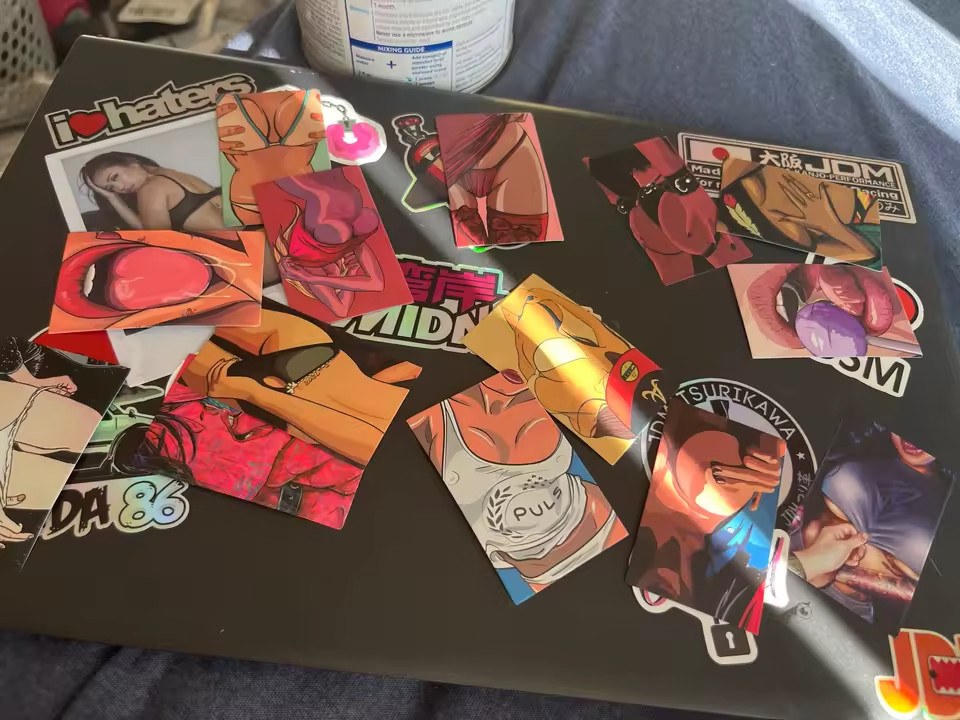 50 Count Sexy Spicy Seduction Pinup Stickers for Wall Phone Laptop