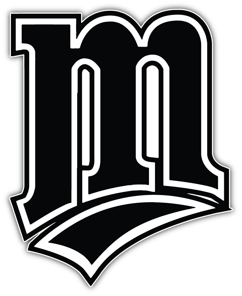 Minnesota Twins MLB Baseball Sport Logo Car Bumper Sticker Decal "SIZES"