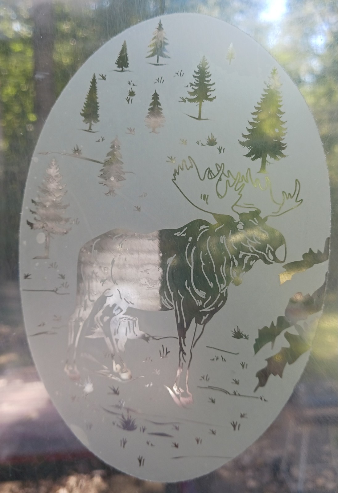 Moose Window Decal 4"x6" OVAL Etched Glass Look Cling Removable & Reusable 49