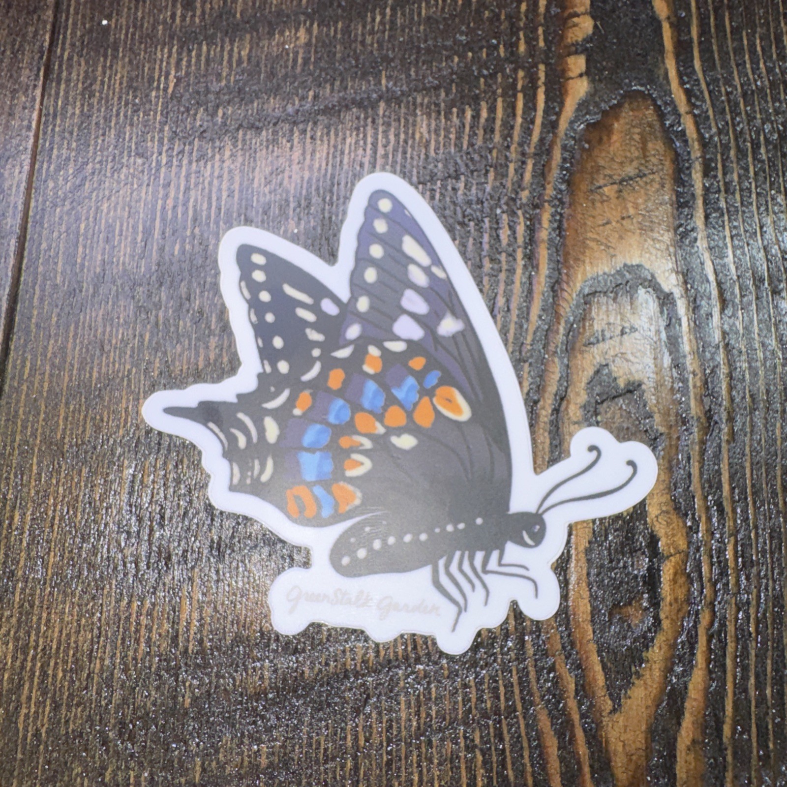 Butterfly Bug Insect Sticker 3" Water Bottle Laptop Locker Phones Helmets