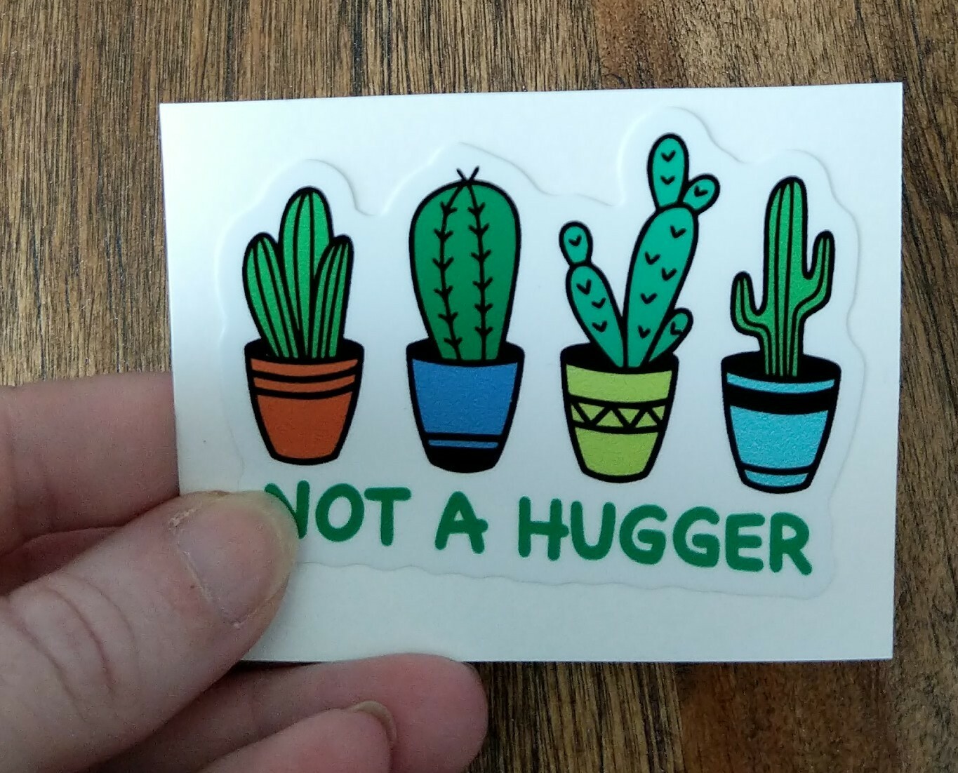3" Not A Hugger Decal Cactus Succulent Vinyl Sticker No Hugs Prick Potted Plants