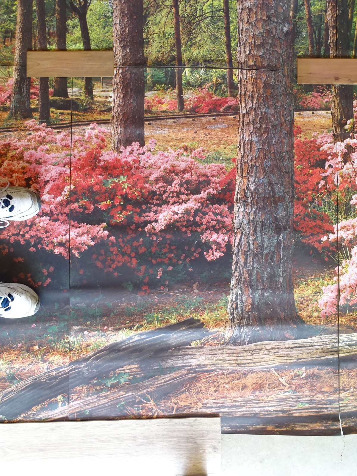 Full Wall Photo Mural Azaleas & Dogwoods Trees Railroad Track 8’ 8” x 12’ 6” NOS