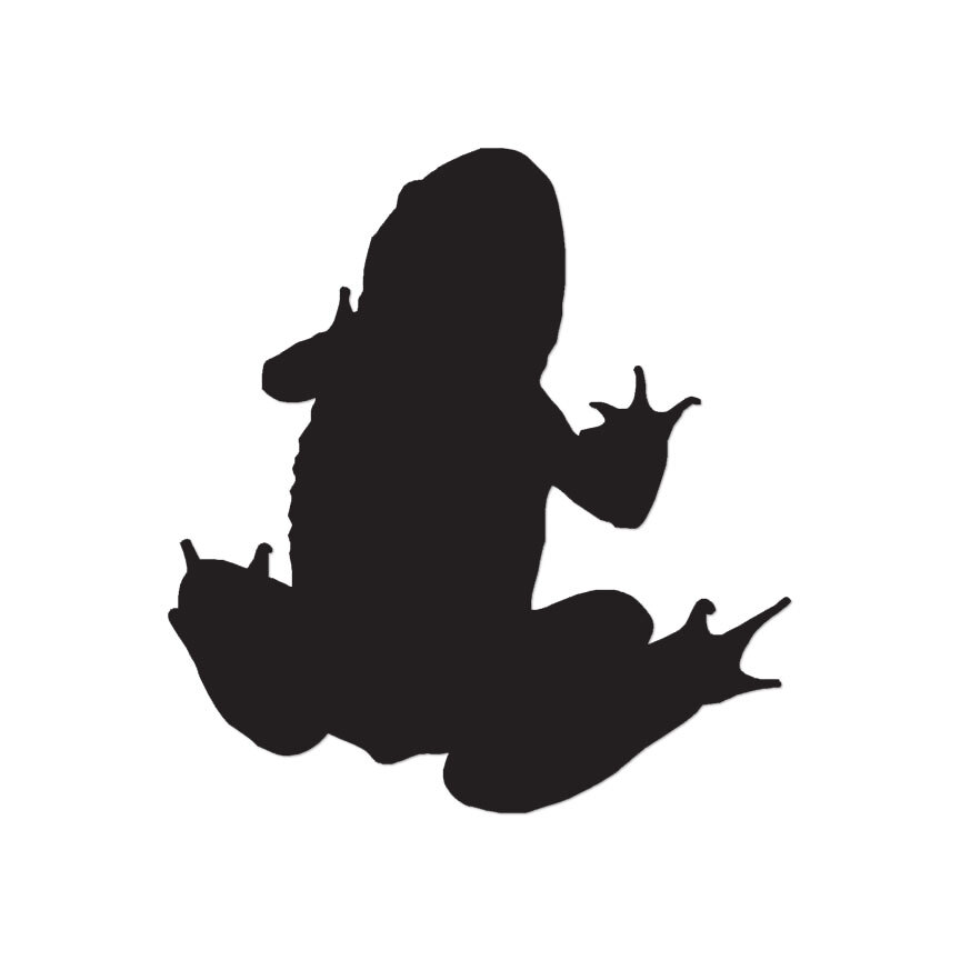 Frog Toad Amphibian – Vinyl Decal Sticker – Multiple Colors & Sizes – ebn2864