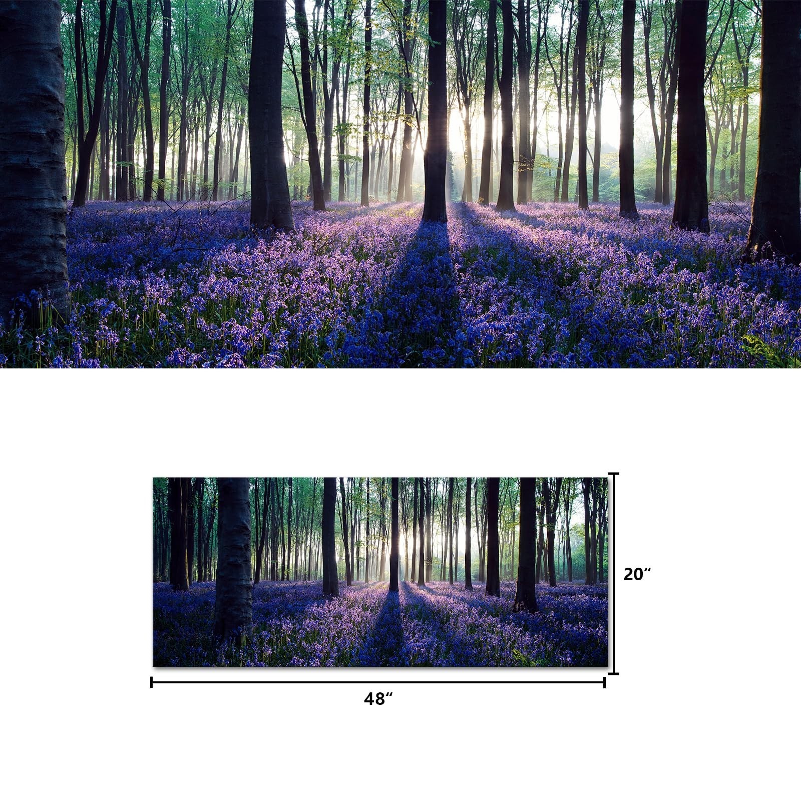 Visual Art Decor Framed Large Purple Canvas Wall Art Mild Sunshine Lavender F…