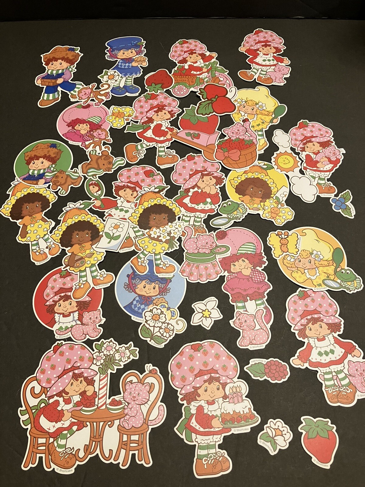 Strawberry Shortcake Matte Retro Vintage Design Stickers Pack Of 40