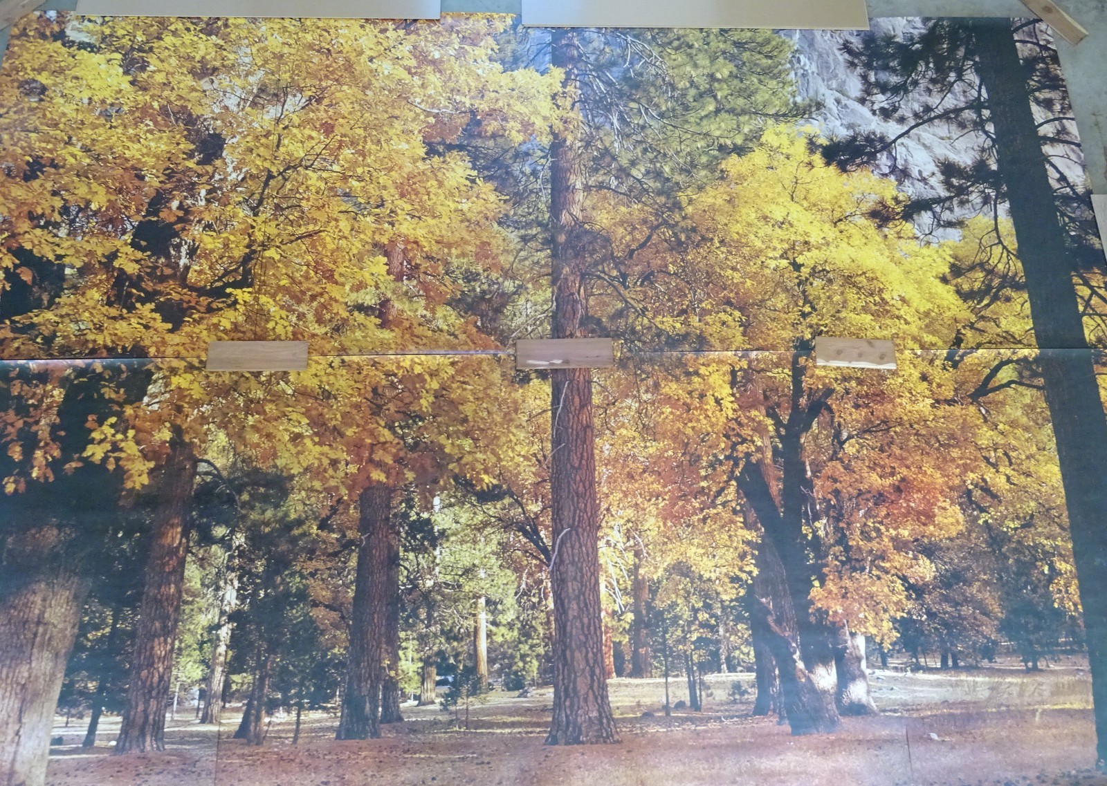 Full Wall Photo Mural Autumn Yosemite National Park Josef Muench 8’ 8” x 12’ 6”