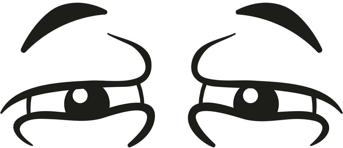 Googly Eyes Squint Vinyl Decal 6 inches wide