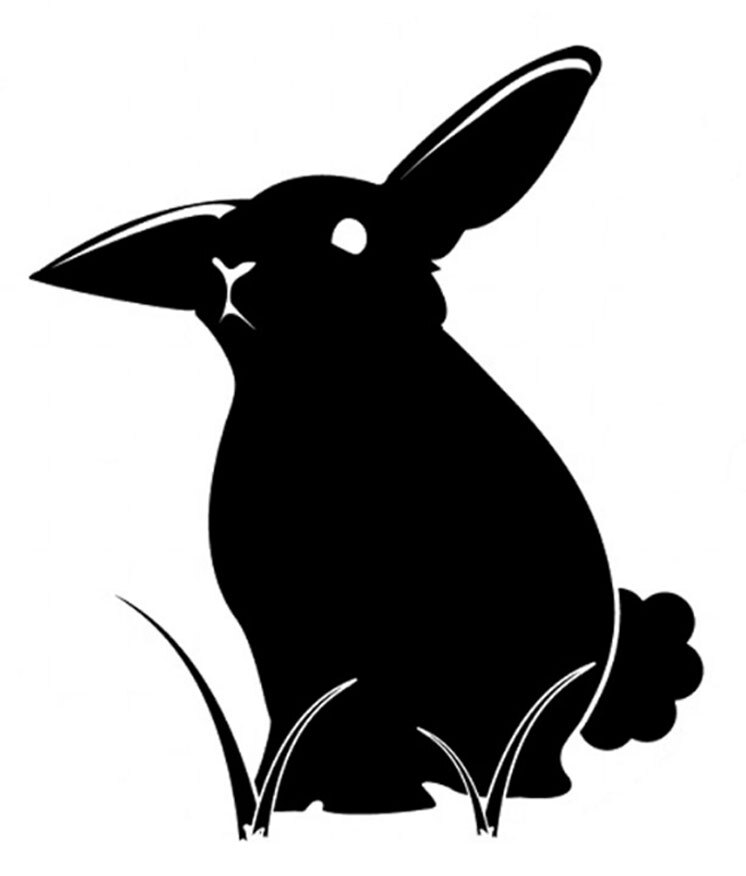 Bunny Rabbit Vinyl Decal Car Window Laptop Tablet Notebook Tumbler Mug Wall Door