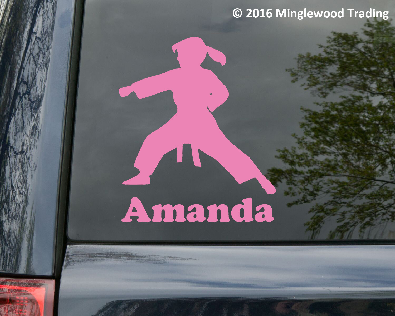Karate Girl with Personalized Name Vinyl Decal Sticker Taekwondo Judo Jiu-Jitsu