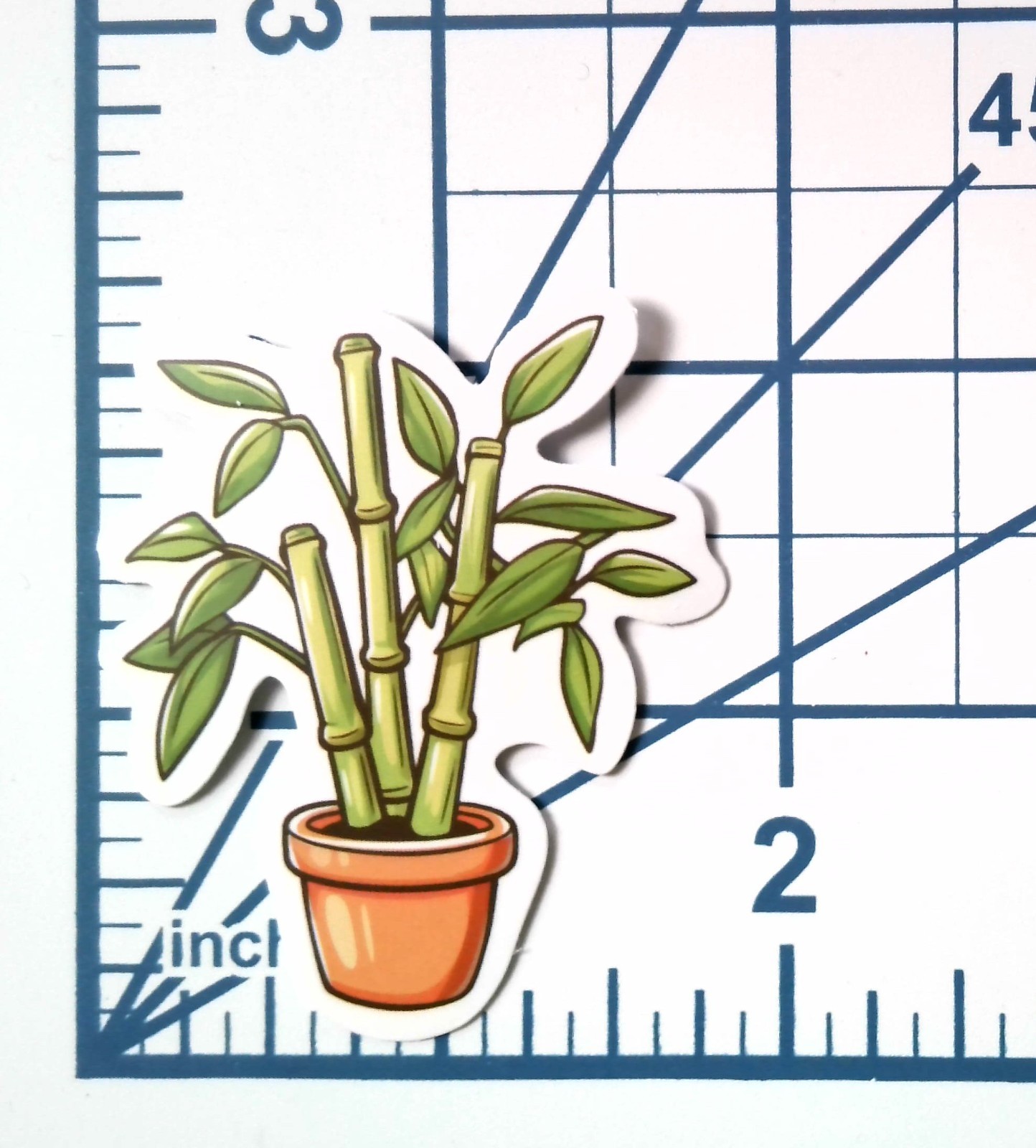Vinyl Sticker Die Cut Lucky Bamboo Plant Decal Houseplant Journal Scrapbook Cute