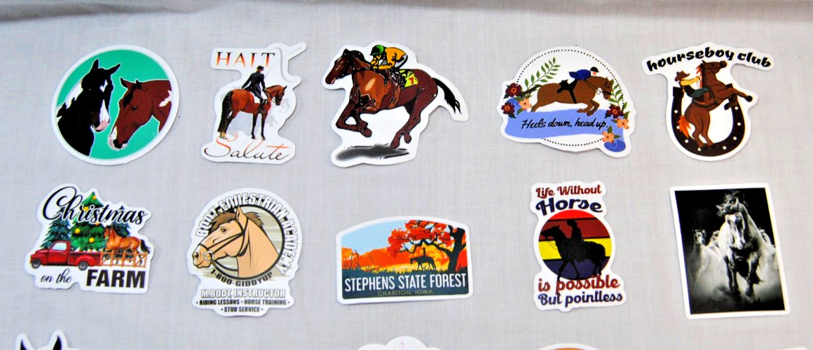 Horse Stickers for Laptop, Water Bottles Plus for Kids to Adults 200Pcs T2694