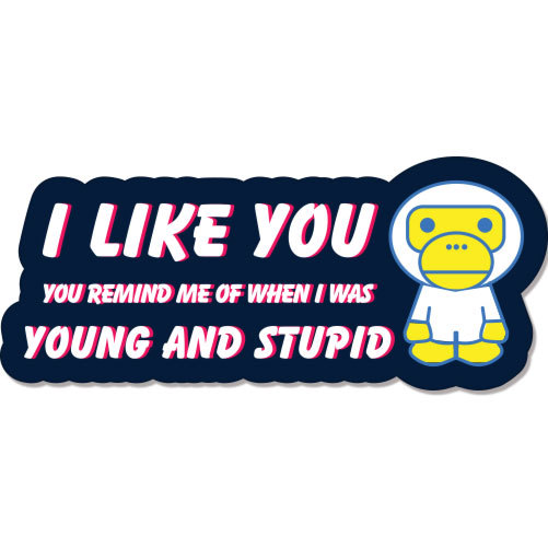 I like You – You Remind Me Of When I Was Young And Stupid Funny car bumper stick