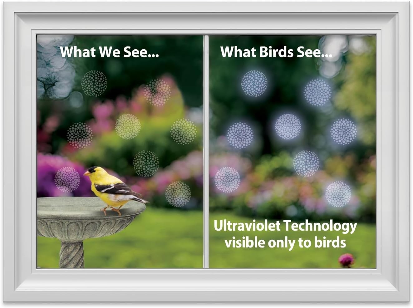 30-Pack Reflective Window Decals – Modern Dots for Bird Collision Prevention