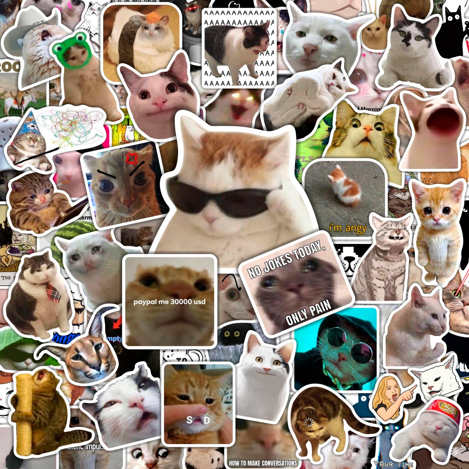 BulbaCraft Cat Meme Stickers 100Pcs – Funny Gifts for Cat Lovers