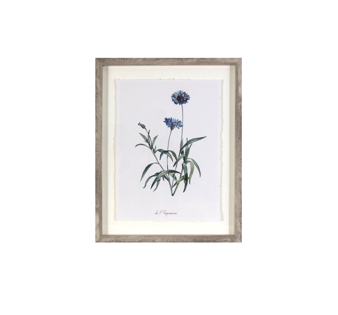 (Set of 3) 16"x20" Framed Vintage Botanicals Decorative Wall Art – Threshold