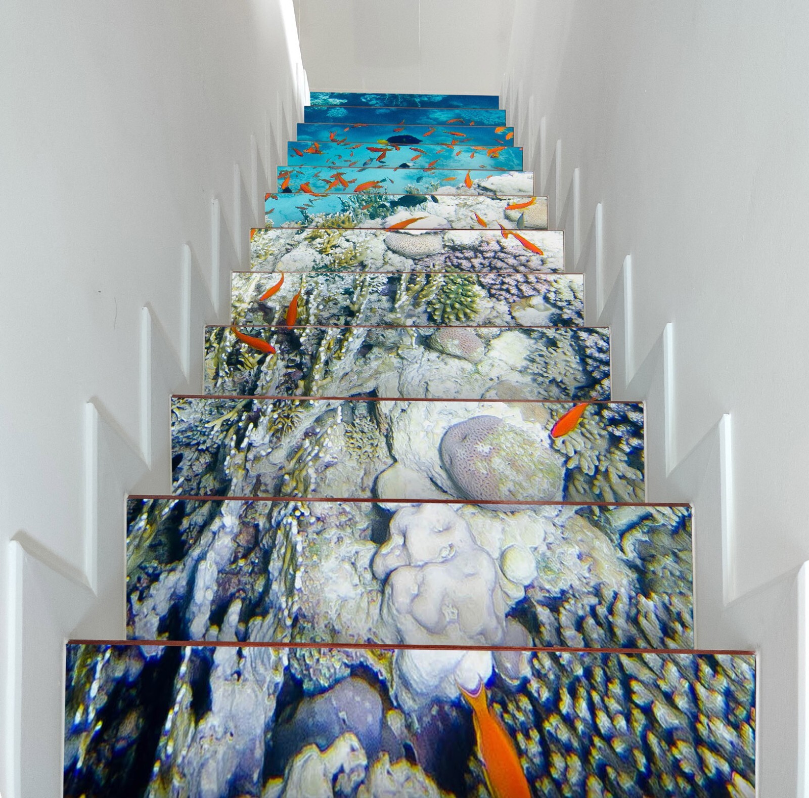 3D Coral Reef W075 Stairs Risers Decoration Photo Mural Vinyl Wallpaper Vera