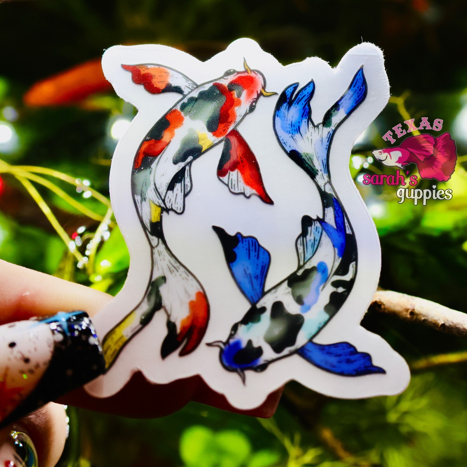 Koi Fish Sticker: Clear Background🐠💕 Sarah's Guppies Premium Homemade Designed