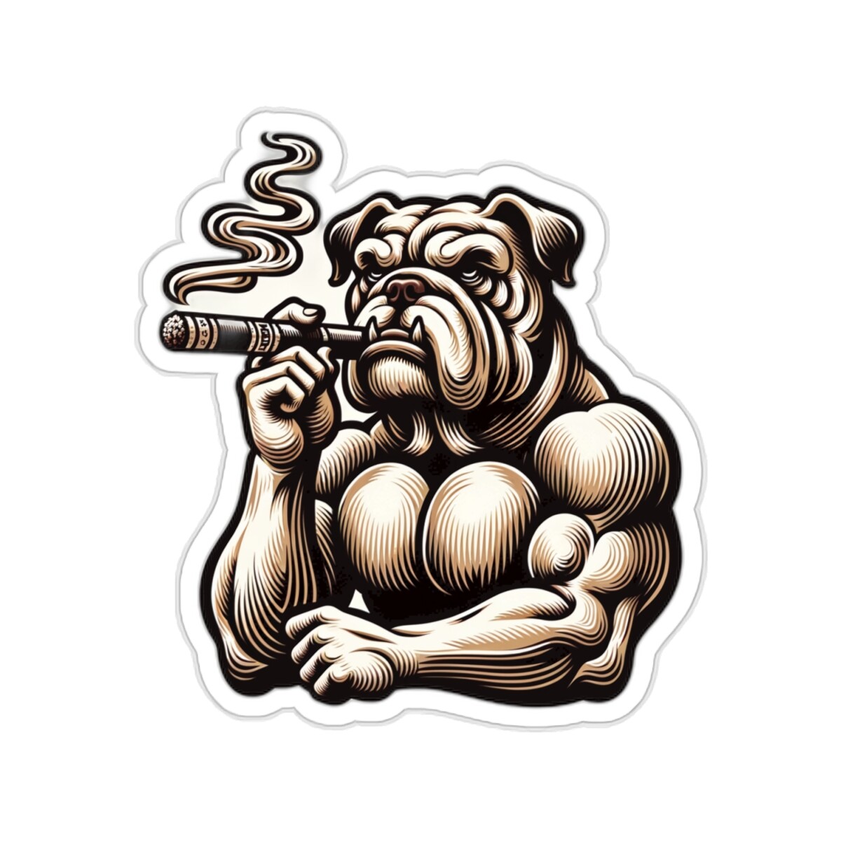 Sticker Buff Bodybuilding Bulldog Gym Cigar Fitness Pet Gift 2×2" 3×3" 4×4" 6×6"