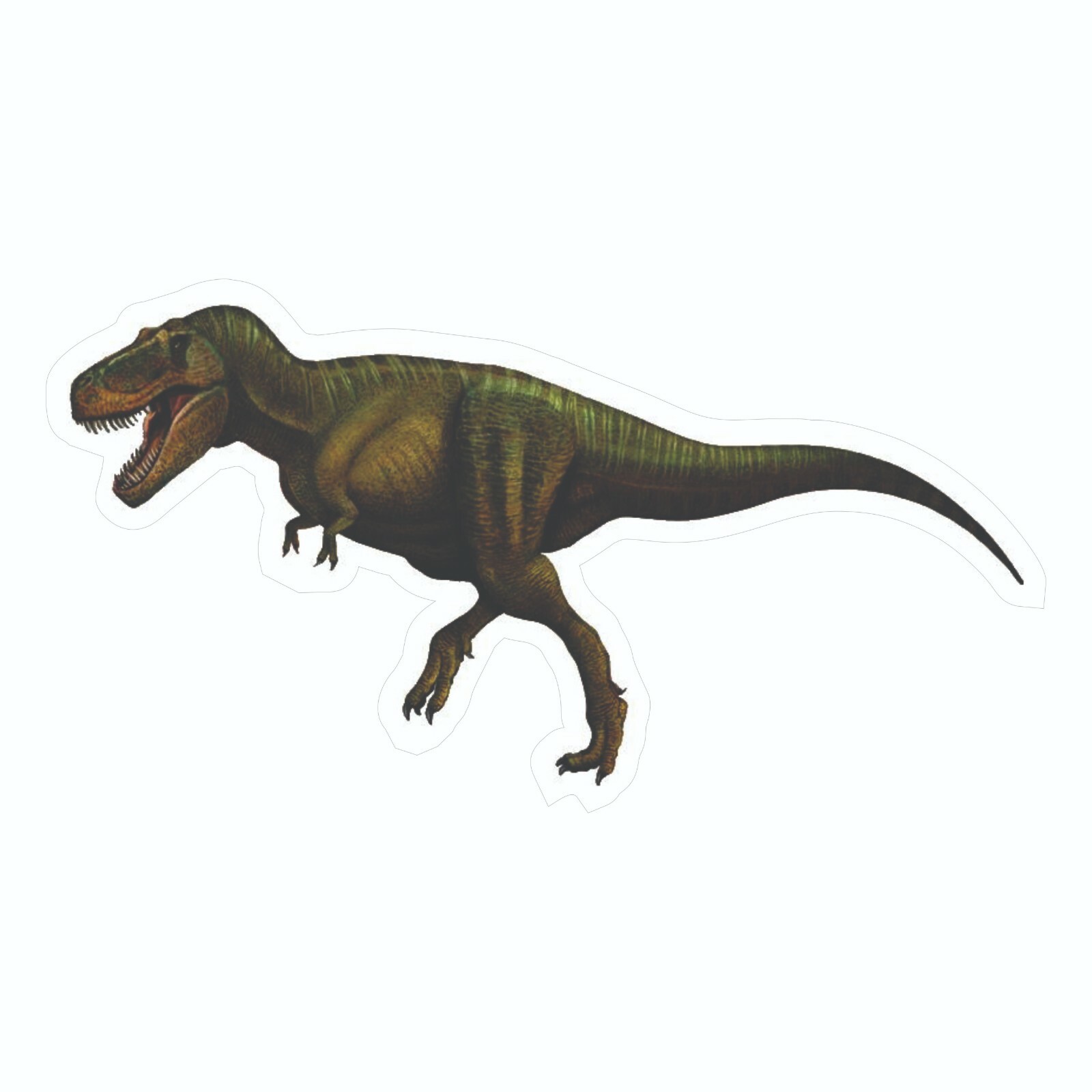 Dinosaur Sticker, Tyrannosaurus Decal, Bumper T-Rex Sticker