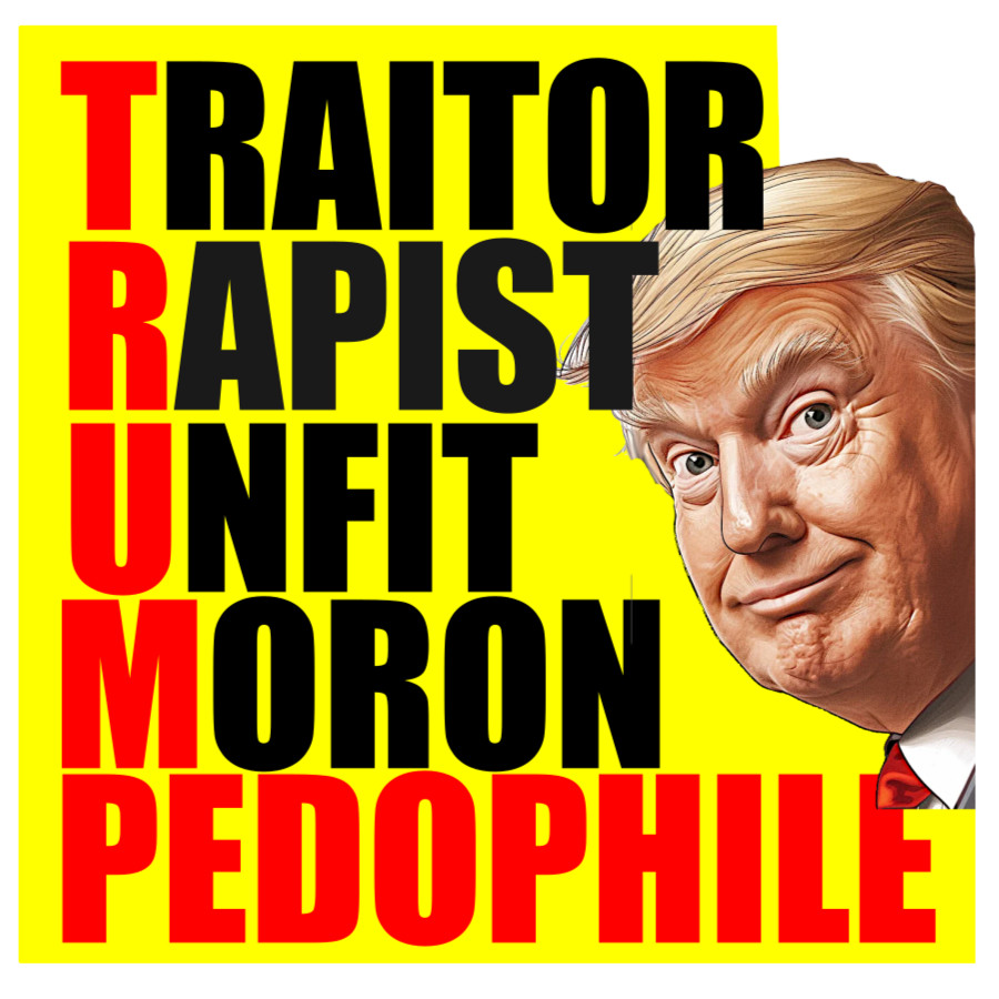 Donald Trump 6pc Vinyl Sticker Set, Kiss Cut, Durable, Waterproof, Anti-Trump