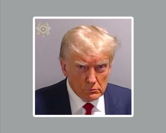 Donald Trump Mug Shot Die Cut Glossy Fridge Magnet