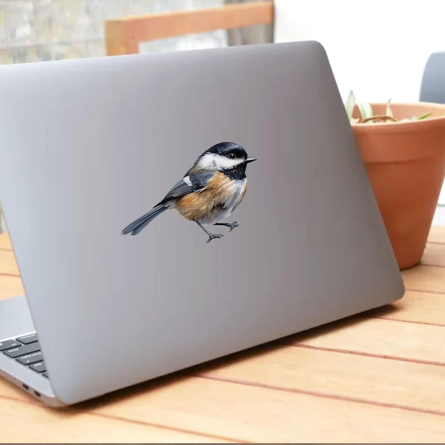 Black-Capped Chickadee, Wall Sticker, Bird Vinyl, Nursery Stickers, Medium