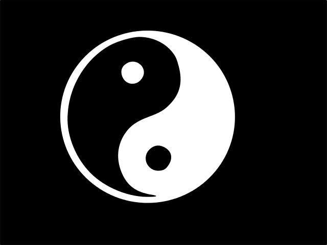 YIN YANG Taoism Eastern Vinyl Decal Car Wall Laptop Sticker CHOOSE SIZE COLOR