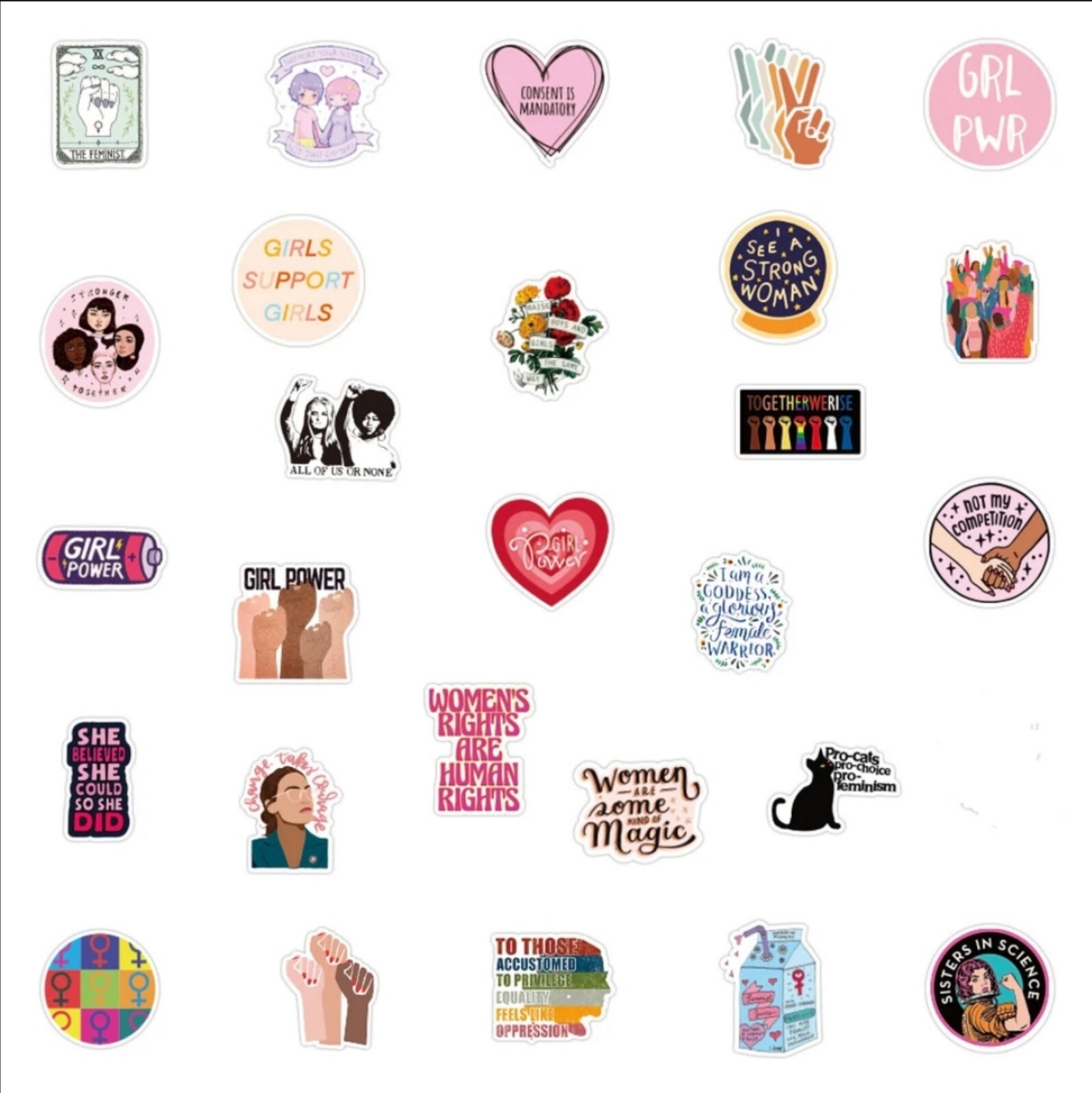 20 PCS Feminist Womens Girls Rights Power Stickers BRAND NEW