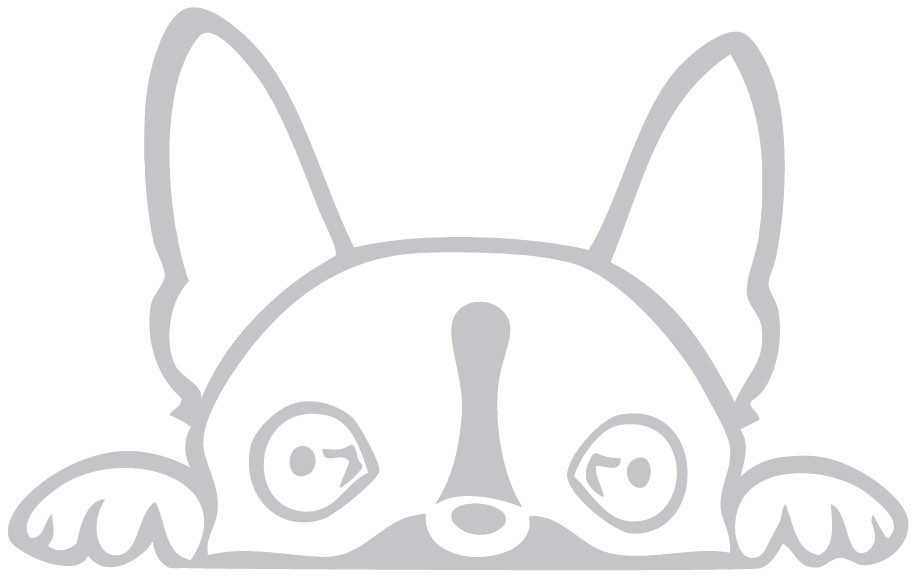 Boston Terrier Peeking Die Cut Vinyl No Background Multiple Color Decal Made USA