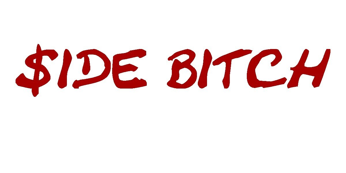 Side Bitch Vinyl Decal- Funny Bumper Sticker, $ide Bitch
