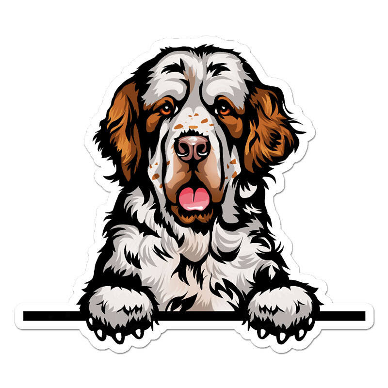 Peeking Clumber Spanial, Vinyl Decal Sticker, Indoor Outdoor, 3 Sizes, #11644
