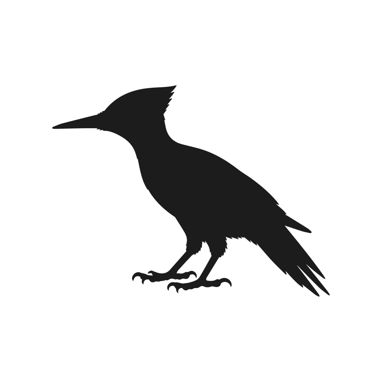 Woodpecker standing Wildlife Bird Vinyl Decal Window Wilf birds life Sticker