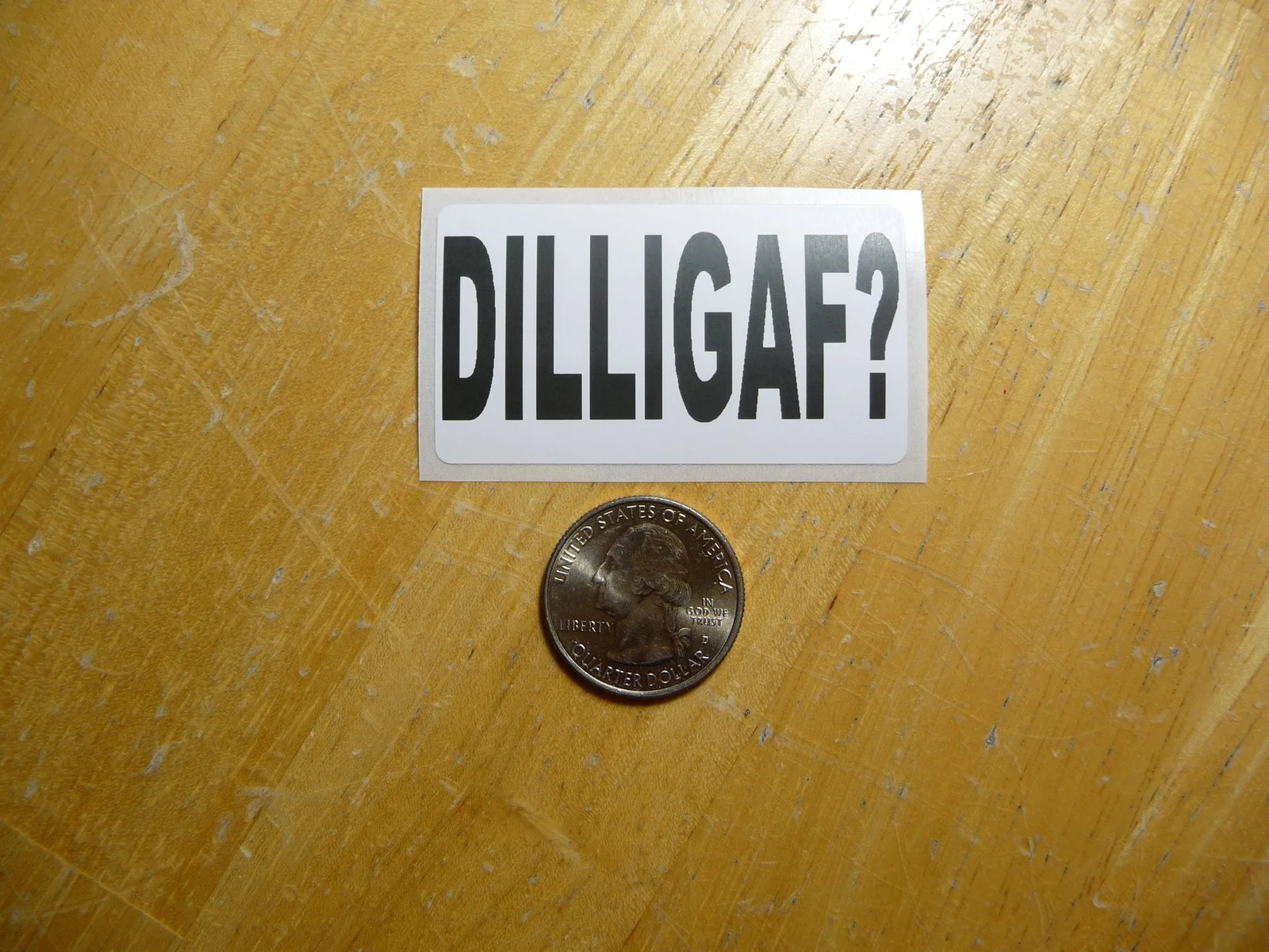 DILLIGAF? STICKER DECAL 1 – 50 BULK PACK FUNNY INSULT JOKE PRANK